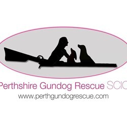 Perthshire Gundog Rescue SCIO